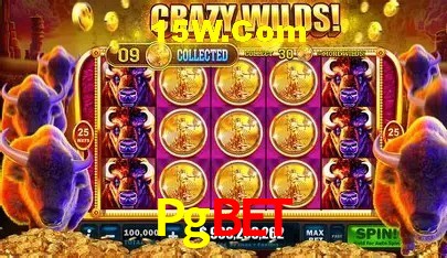 cassino Pgbet